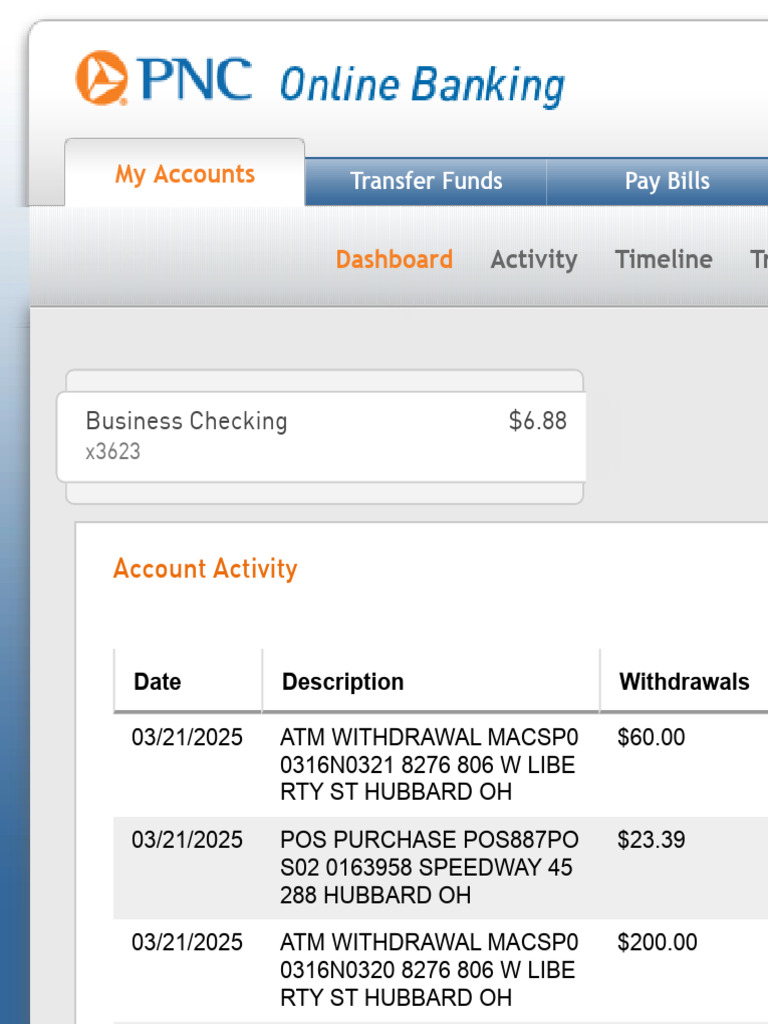 Account Activity Overview | PDF