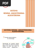 Funcionamento do Sistema RAA | PDF | Rim | Fisiologia