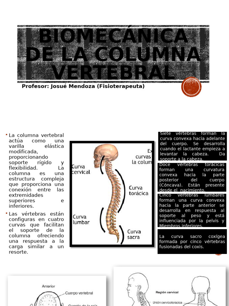 Biomecánica de la Columna Vertebral | PDF