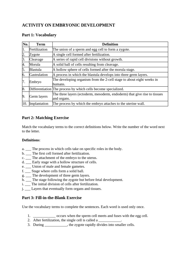 Embryonic Development Vocabulary Guide | PDF | Embryo | Fertilisation