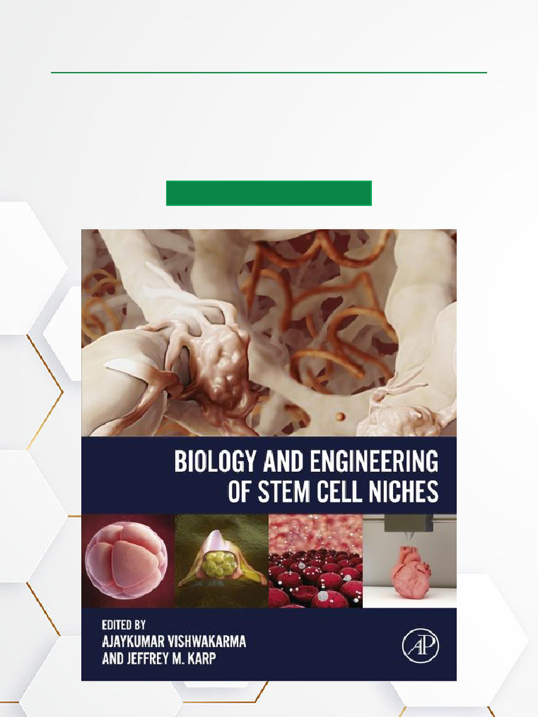 Stem Cell Niches: Biology & Engineering | PDF | Extracellular Matrix ...