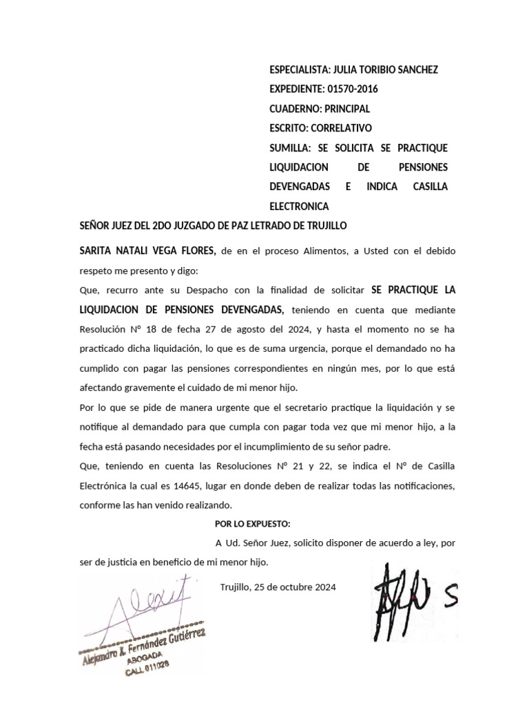Practique Liquidacion de Alimentos y Otro | PDF