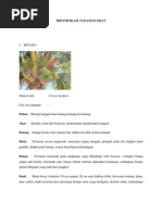 Download Identifikasi Tanaman Obat Arief by AriefHermanto SN86574588 doc pdf