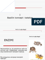 ENZIMI1