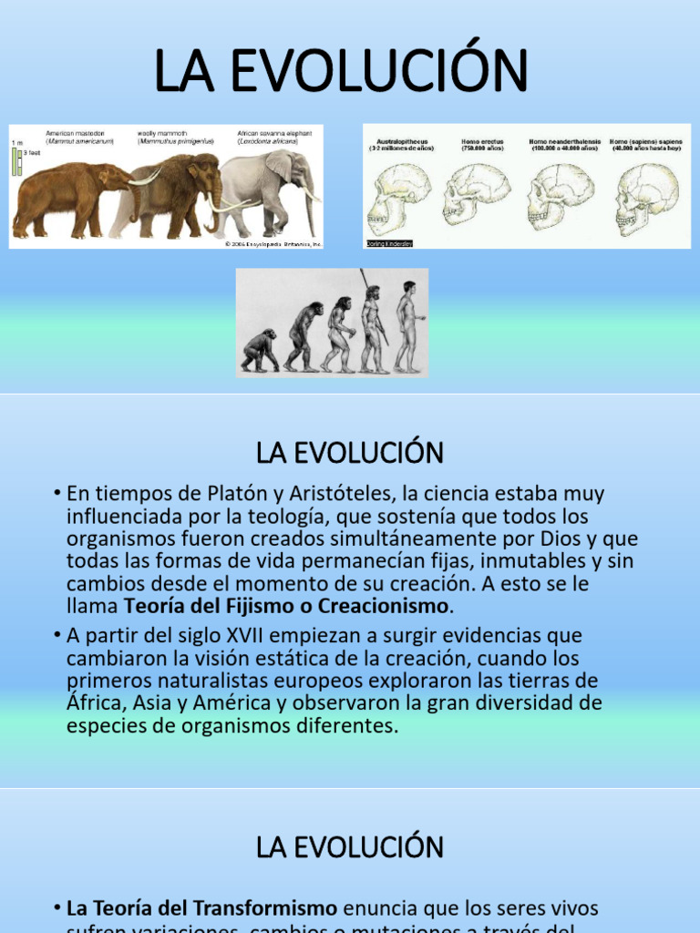 Teorías de la Evolución y Adaptación | PDF | Evolución | Seleccion natural