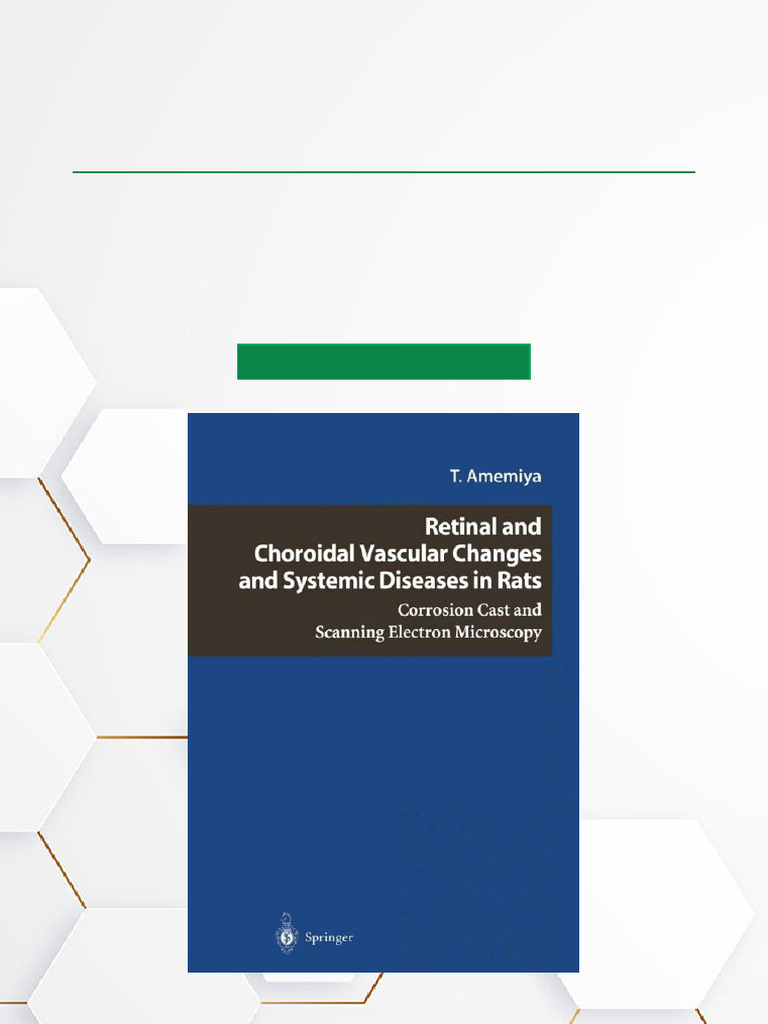 Retinal and Choroidal Vascular Changes and Systemic Diseases in Rats ...