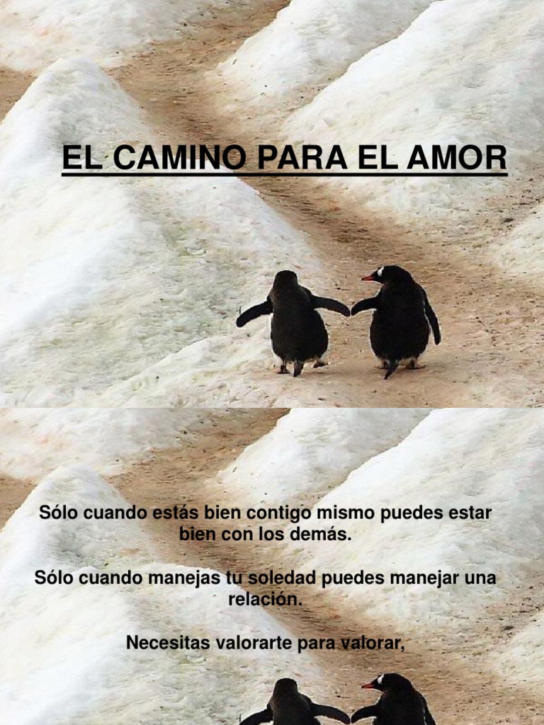 El Camino Hacia El Amor PDF Salud y bienestar