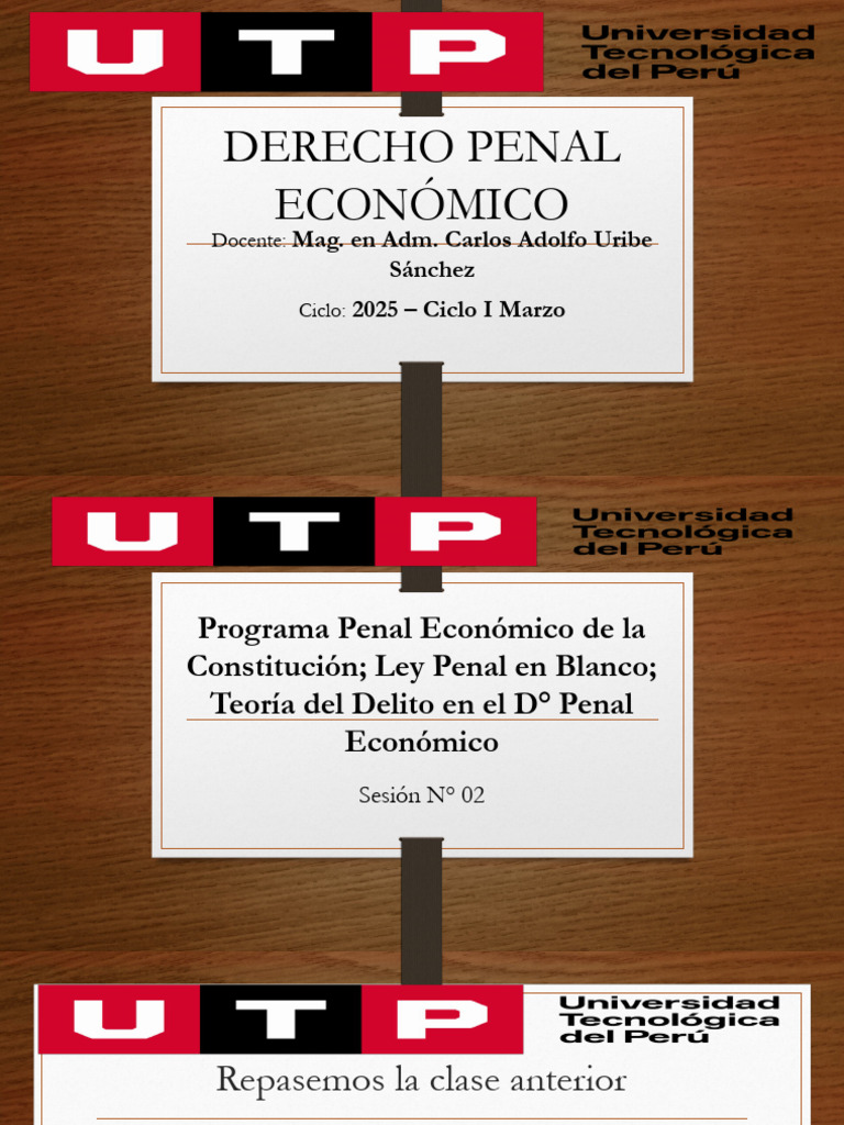 Derecho Penal Económico y Constitución | PDF | Criminología | Derecho penal
