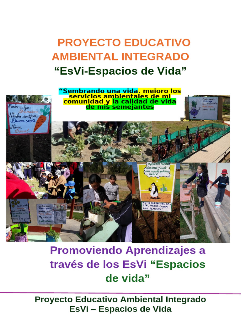 Proyecto EsVi: Educación Ambiental Integrada | PDF | Salón de clases ...