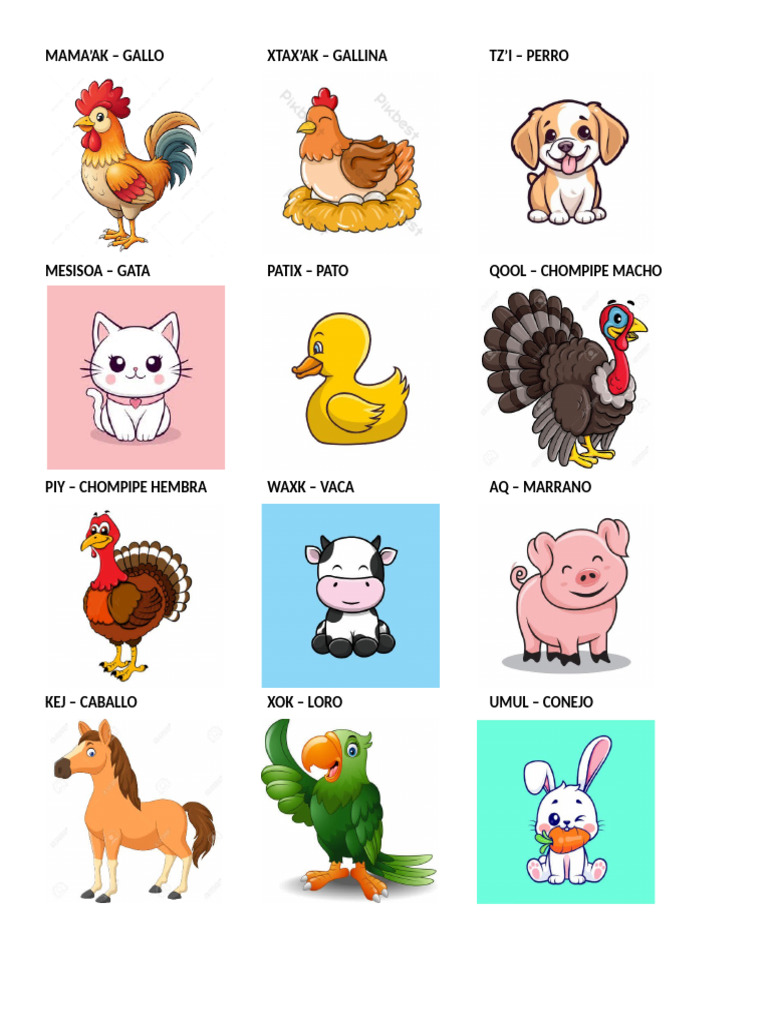 Animales en Kaqchikel 2025 | PDF