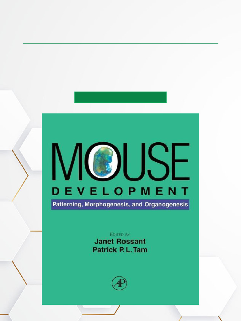 Mouse Development Patterning, Morphogenesis, and Organogenesis High ...