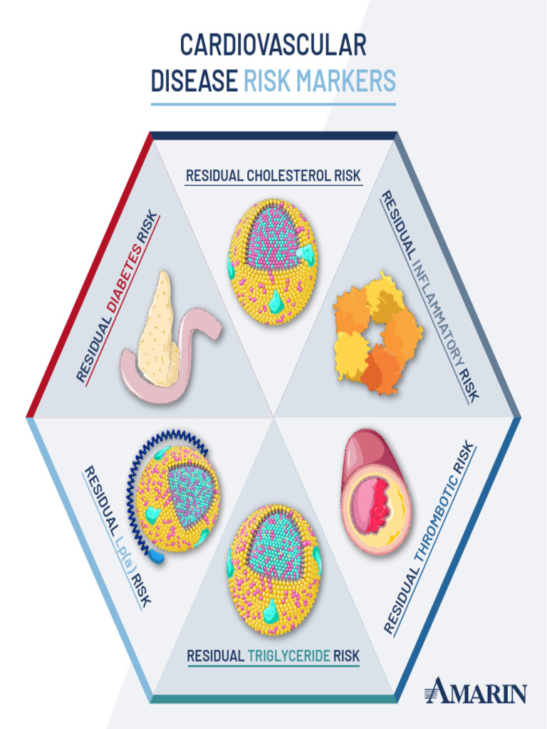 Cardiovascular Risk Marker Overview | PDF | Cardiovascular Diseases ...