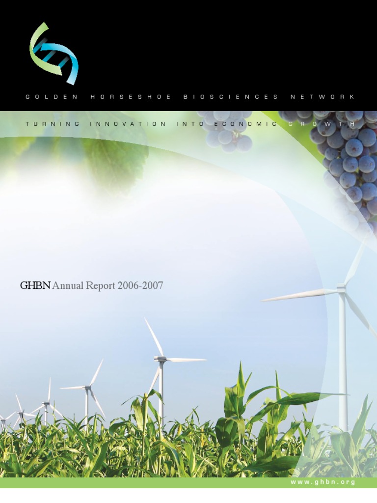 GHBN Annual Report 2006-2007 | PDF | Entrepreneurship | Innovation