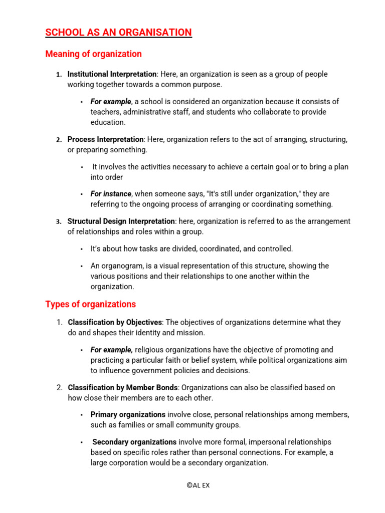 Understanding School Organization Dynamics | PDF | Leadership | Power ...