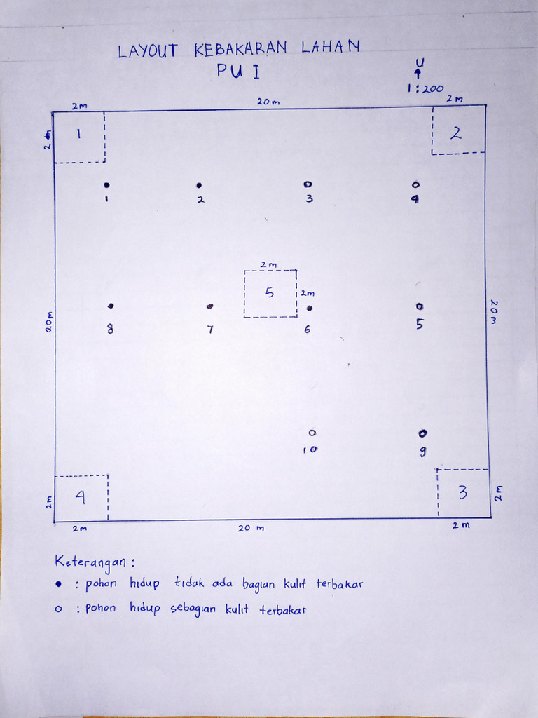 Layout Kebakaran Lahan Kelompok 16 | PDF