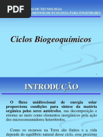 Capítulo 4 - Ciclos Biogeoquímicos