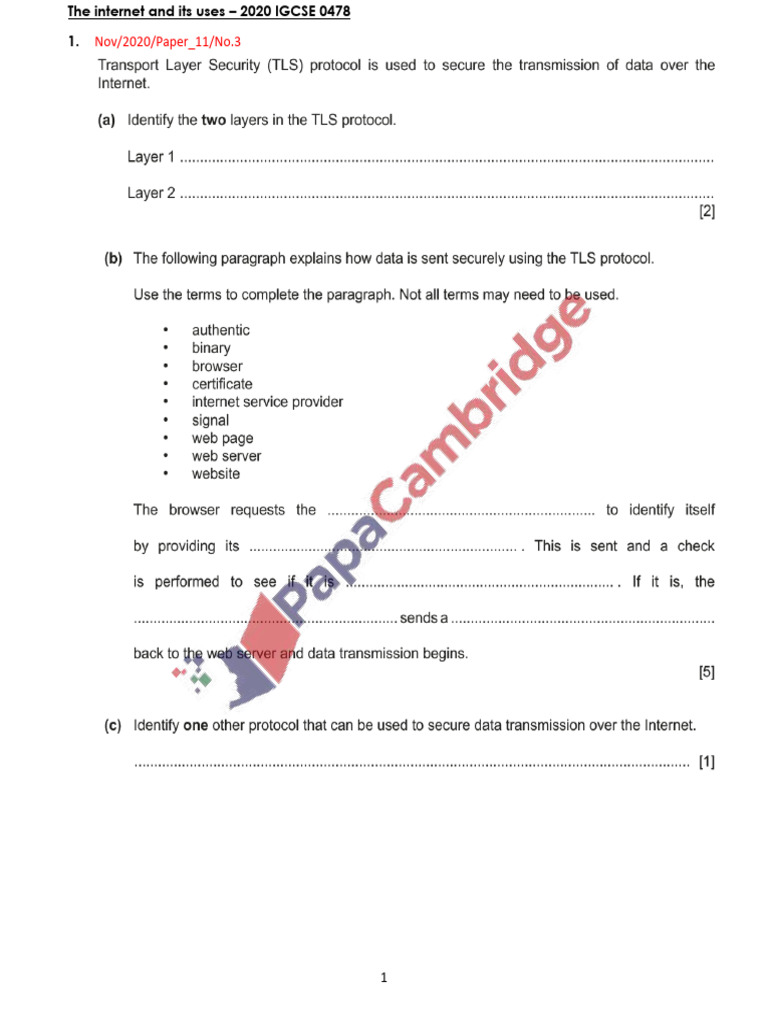 IGCSE Internet Uses Past Papers | PDF
