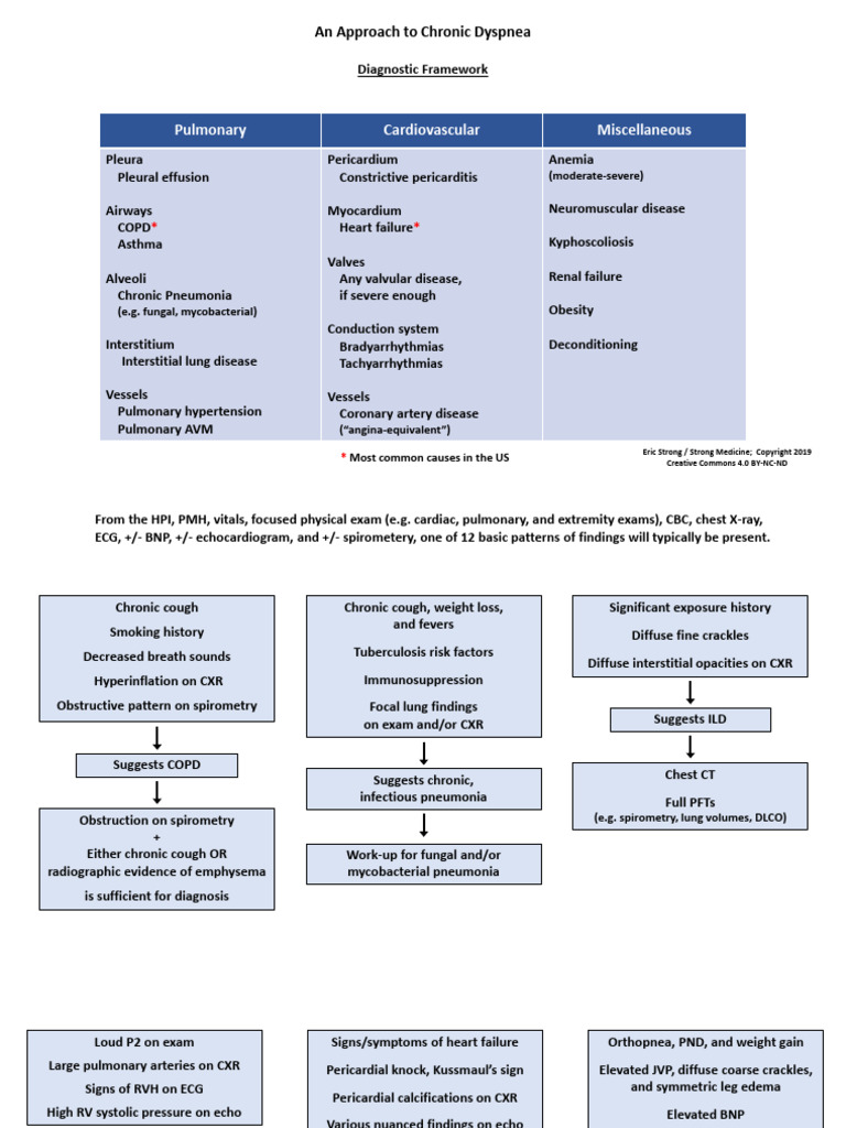 Chronic Dyspnea Diagnostic Framework | PDF | Respiratory Diseases | Heart