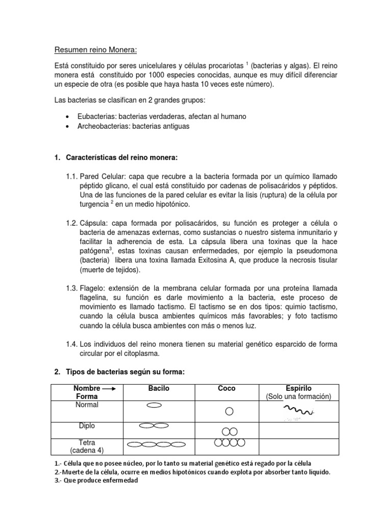 Resumen Reino Monera | PDF | Las bacterias | Reproducción