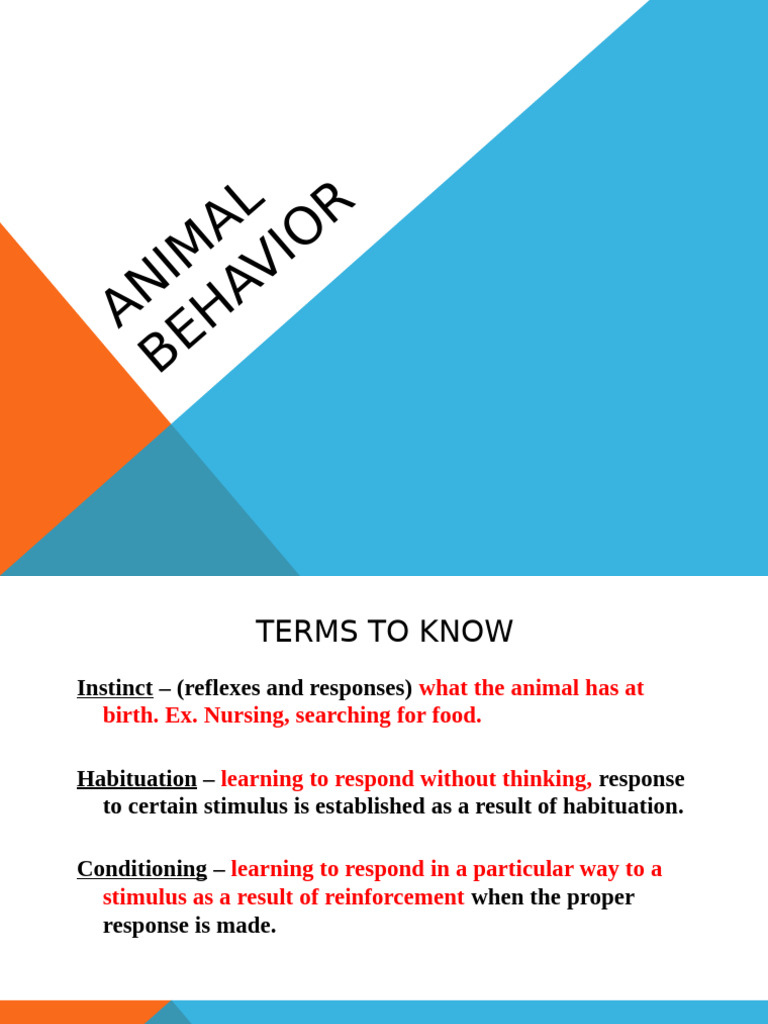 Animal Behavior Powerpoint | PDF | Cattle | Sheep