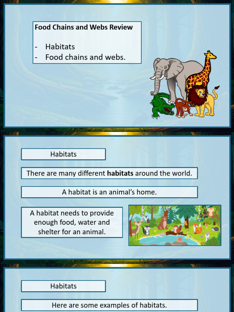 Understanding Food Chains and Webs | PDF | Foods | Predation