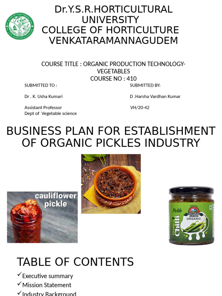 Pickles Industry Final000 | PDF | Net Present Value | Pickling