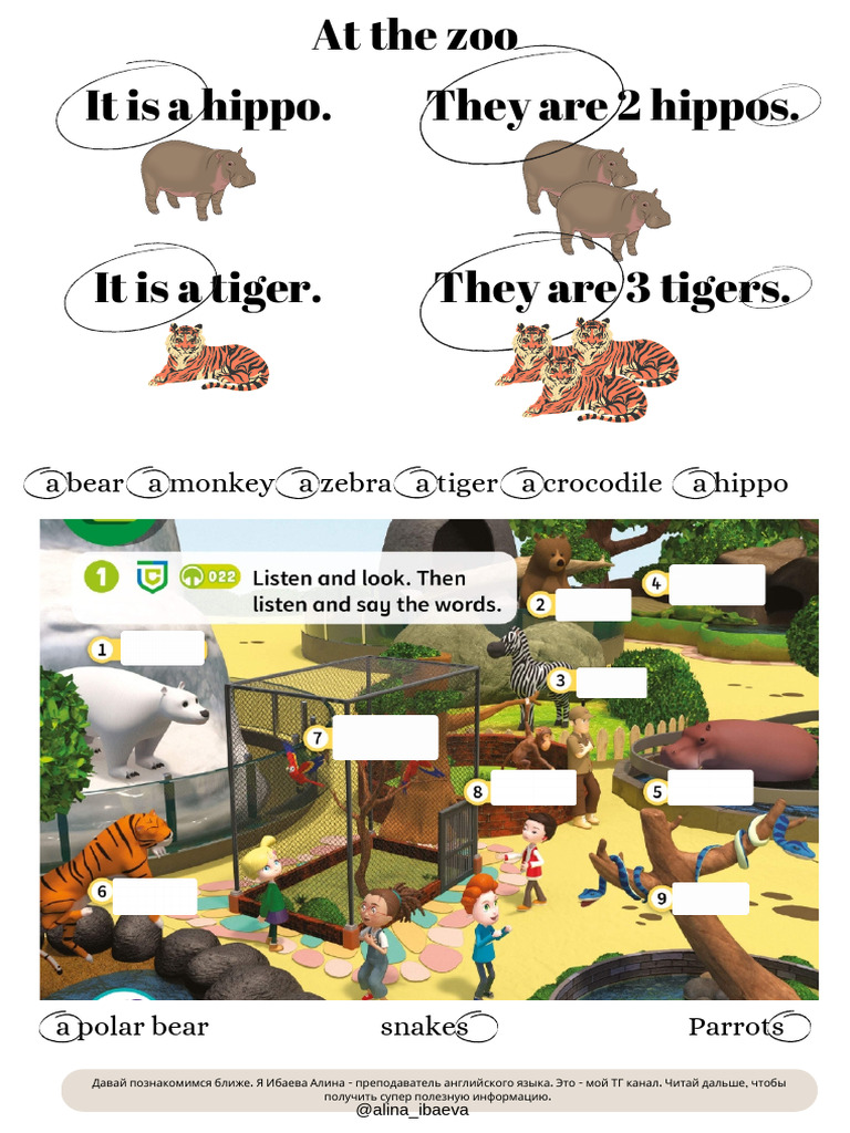 At The Zoo | PDF