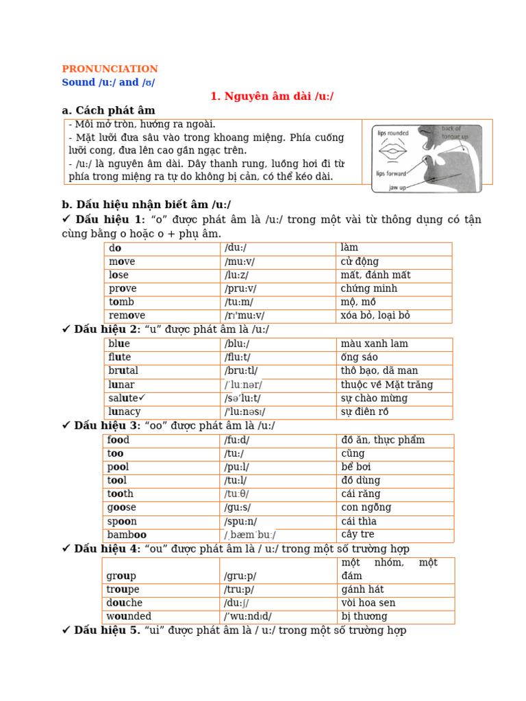 Pronunciation Guide for /u:/ and /ʊ/ Sounds | PDF | Hobbies | Adolescence