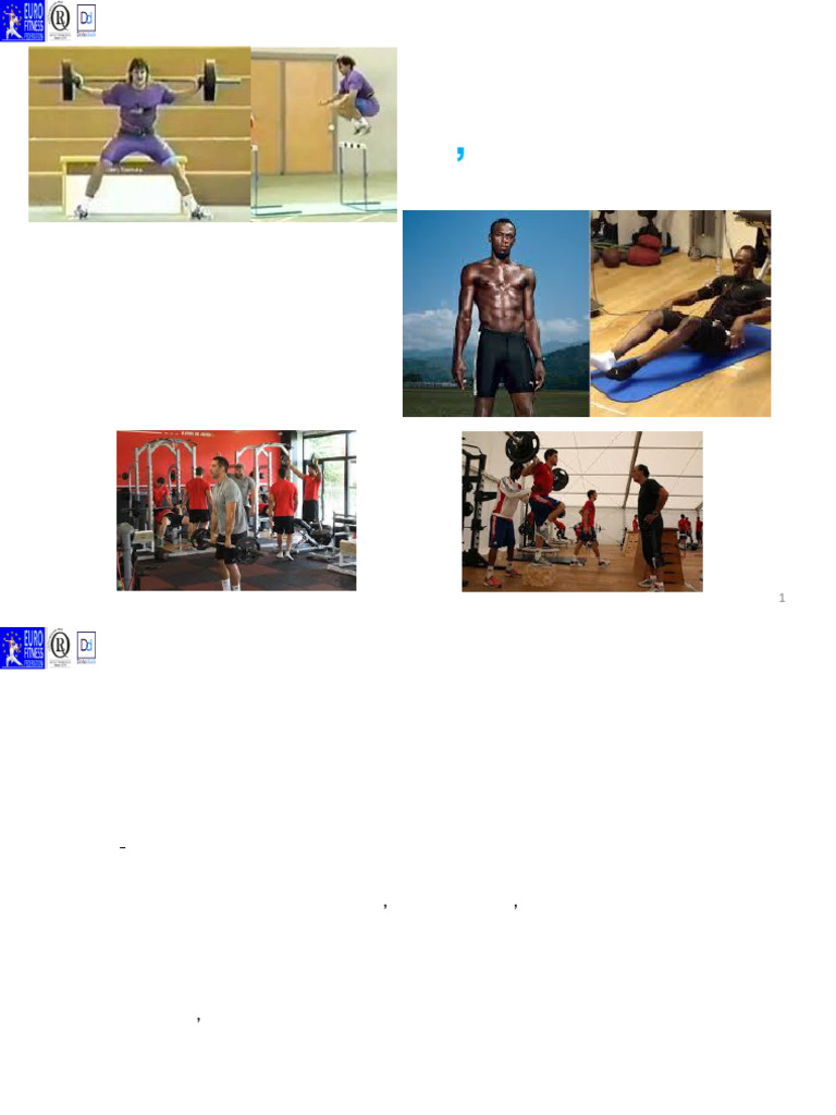 Méthodologie d'entraînement DEJEPS HMFA | PDF | Planification | Musculation