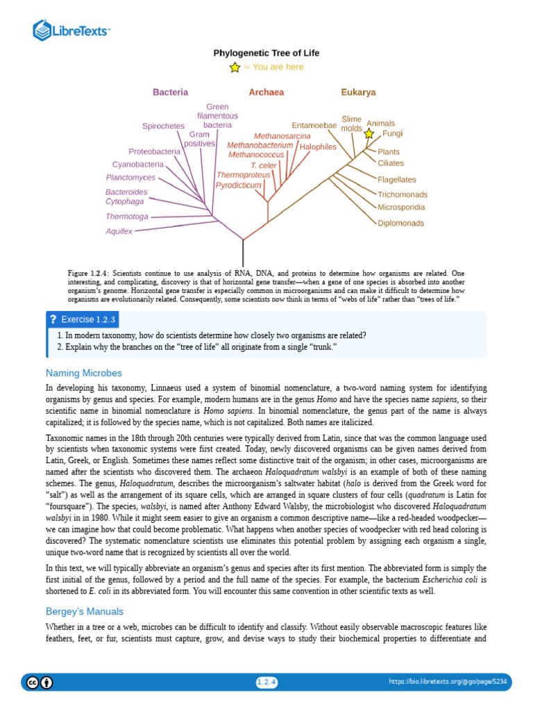 Taxonomy and Naming of Microorganisms | PDF | Bacteria | Microorganism
