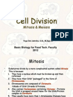 Biodas Cell Division