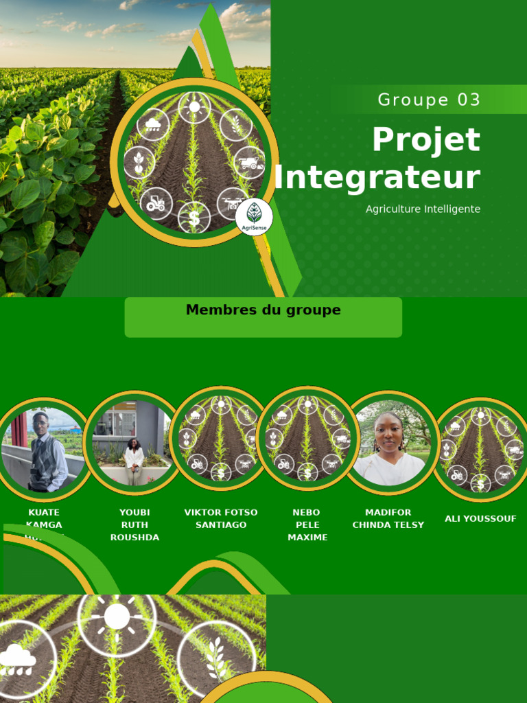 Projet d'Agriculture Intelligente IoT | PDF | Internet des objets ...