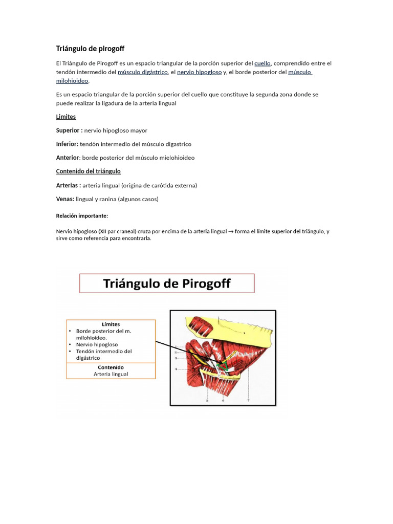 Triángulo de Pirogoff | PDF