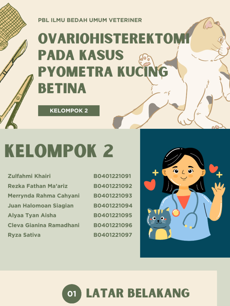 Ovariohisterektomi untuk Pyometra Kucing | PDF