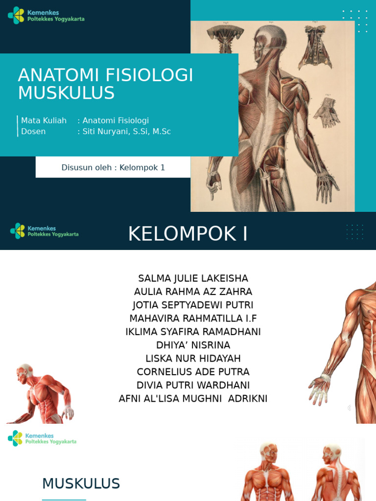 Anatomi Muskulus_20240724_122657_0000 | PDF