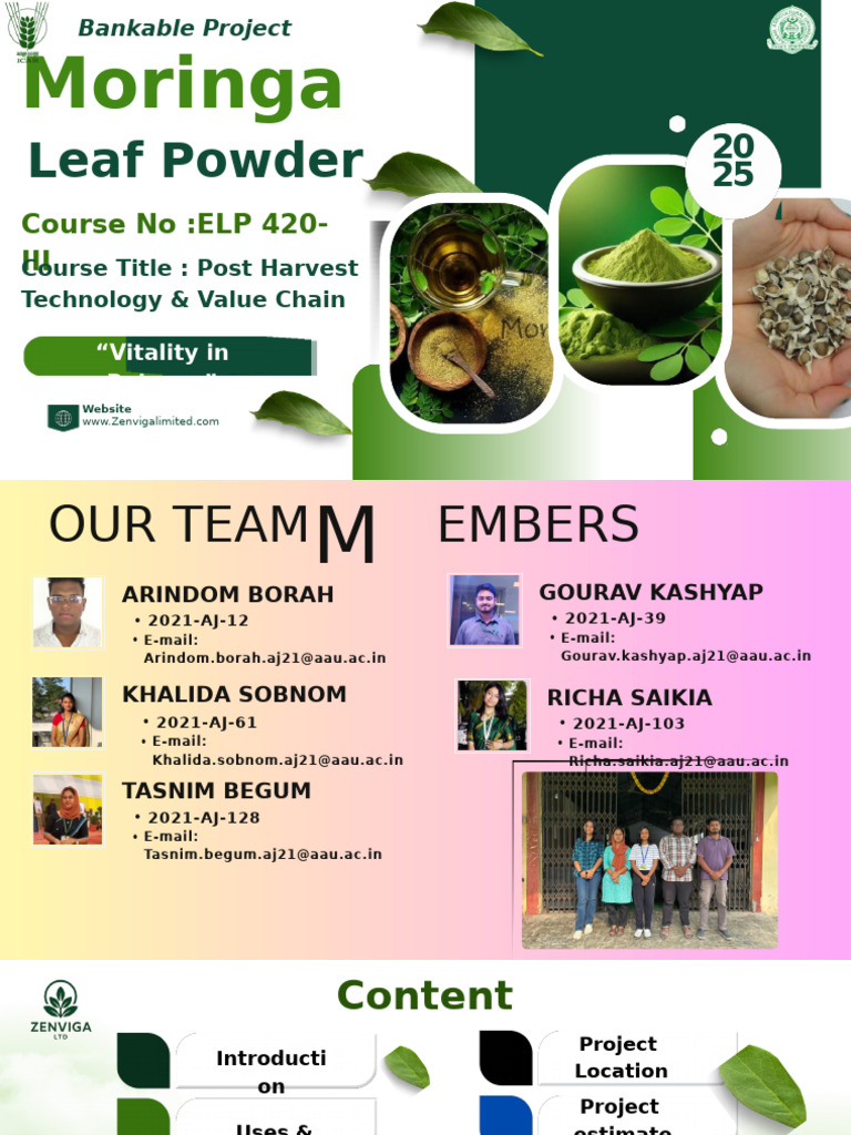 Group 1 Bankable Project Moringa Leaf Powder | PDF