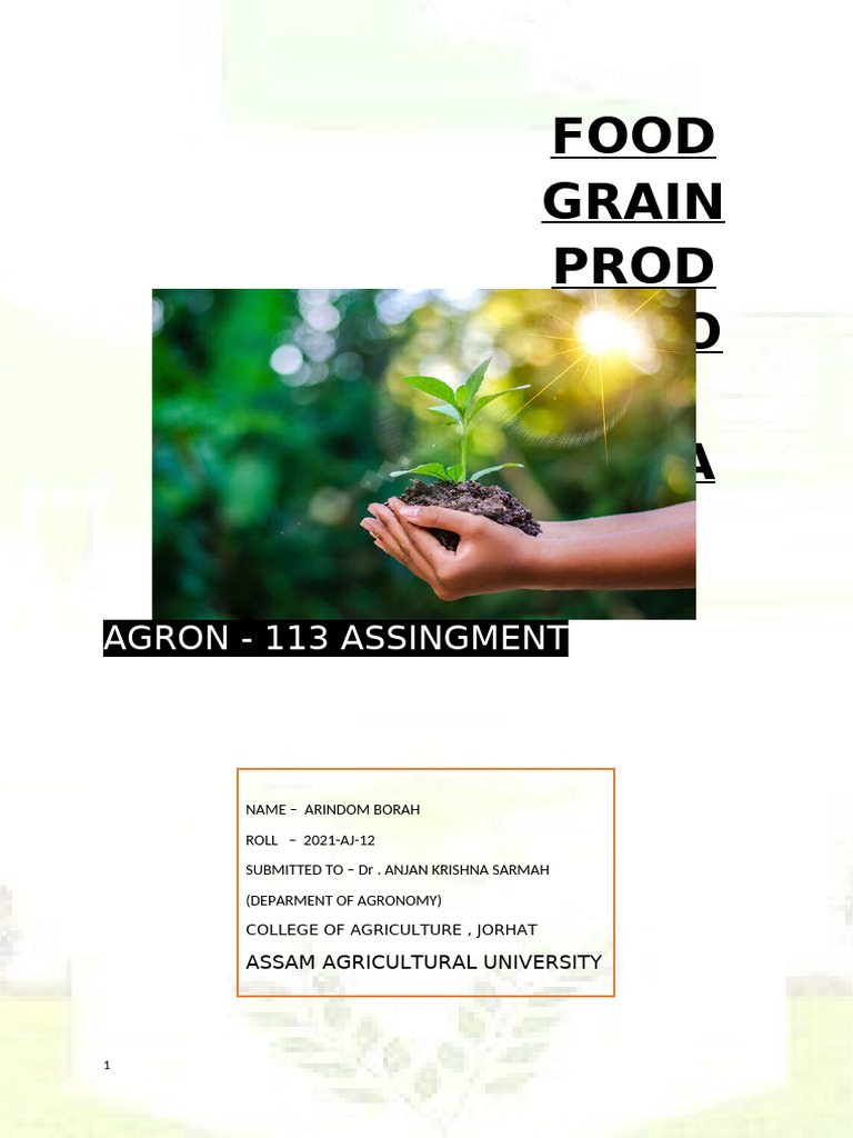 Food Grain Production in India | PDF | Cereals | Food Industry