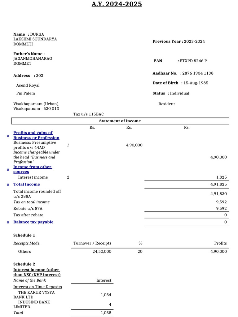 2024-2025 Income Tax Statement Summary | PDF | Money | Taxation
