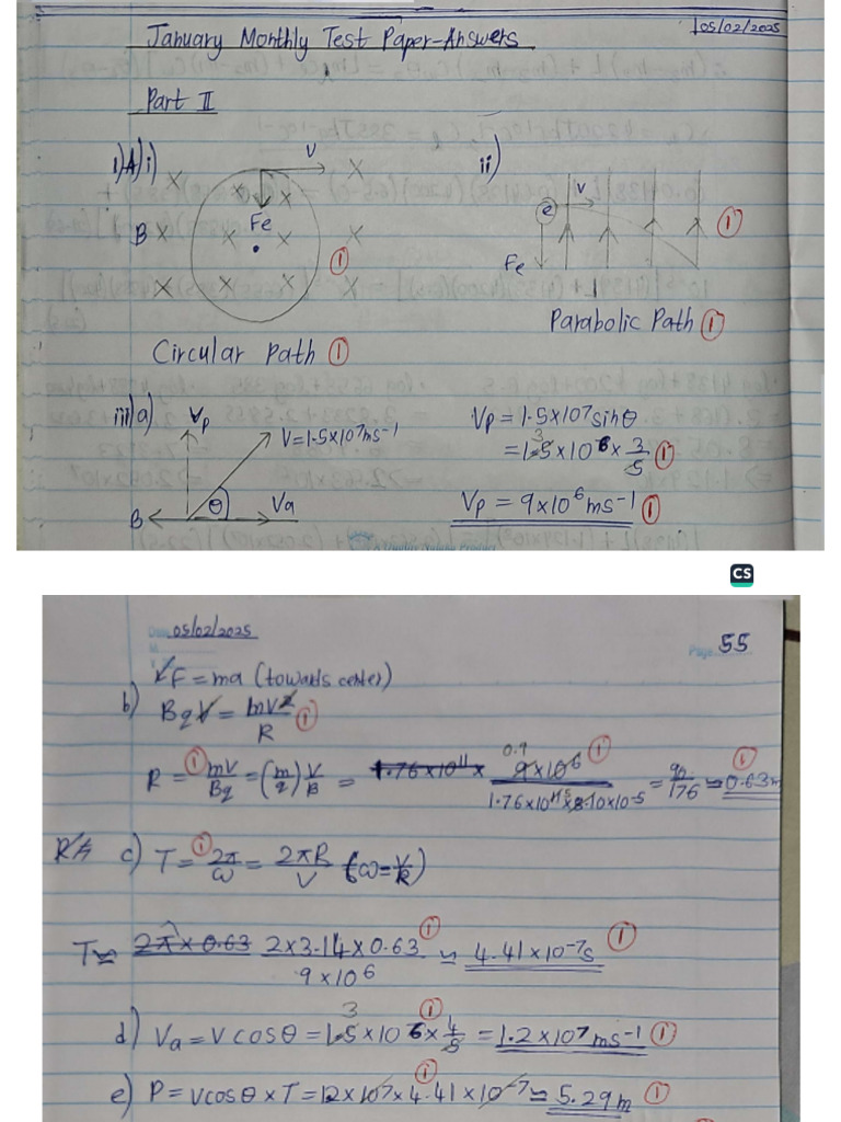5th February 2025 Physics Pdf