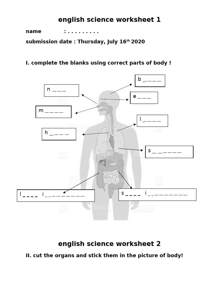 2 English Science Worksheet | PDF