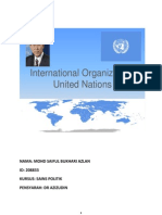 International Organization: United Nations