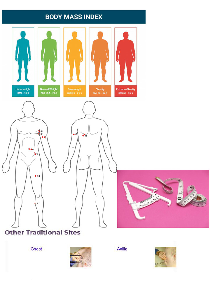 BMI | PDF