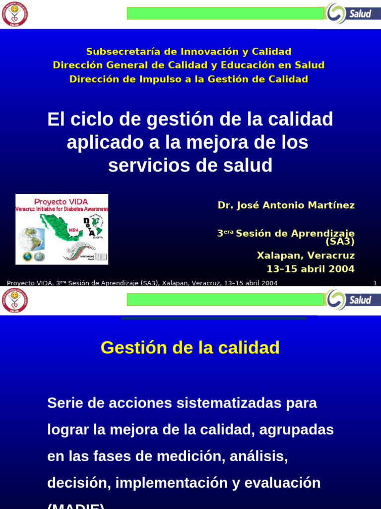 Dia Vida Sa3 Ciclo Calidad | PDF | Gestión de la calidad | Aprendizaje