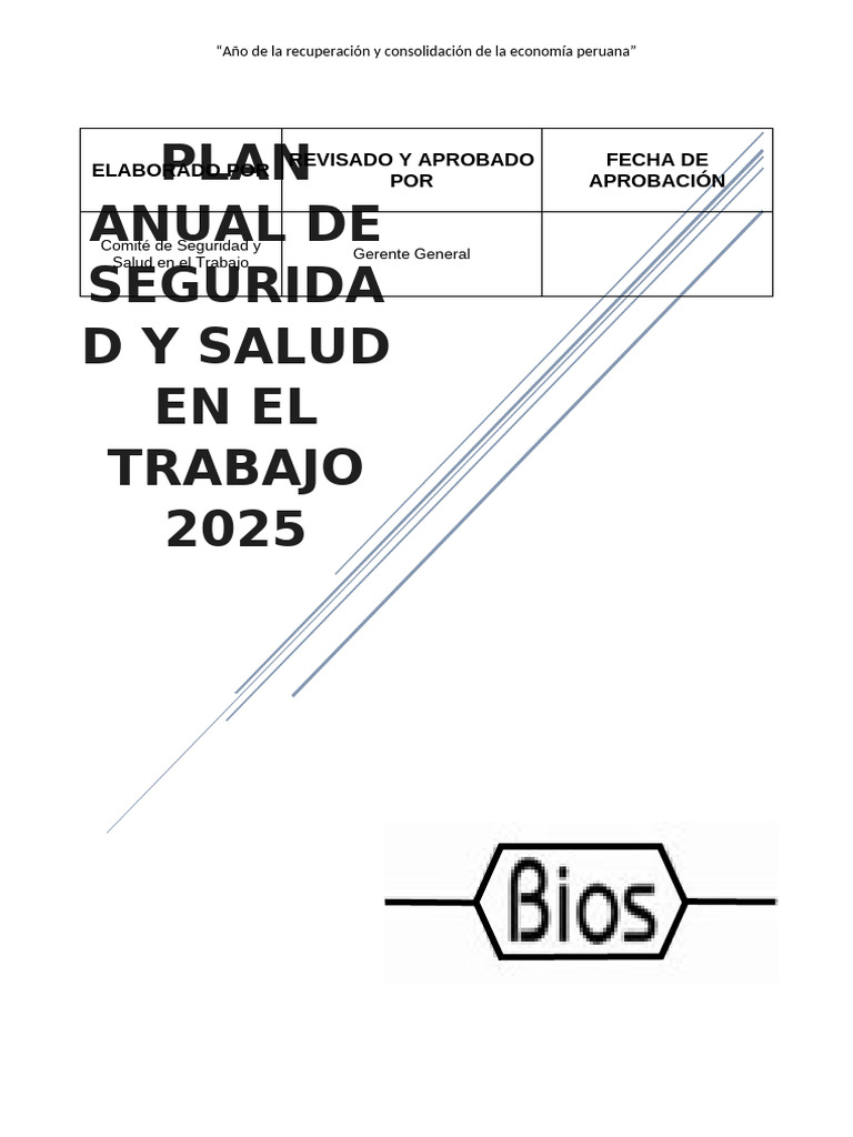 Plan Anual de Seguridad 2025 BIOS PERU | PDF | Seguridad y salud ...
