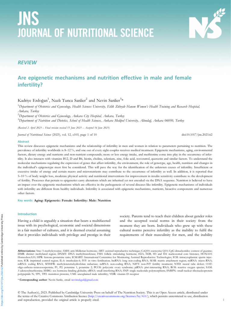 Are Epigenetic Mechanisms and Nutrition Effective in Male and Female ...