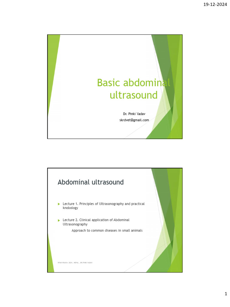 Basic Abdominal Ultrasound Guide | PDF | Medical Ultrasound | Ultrasound