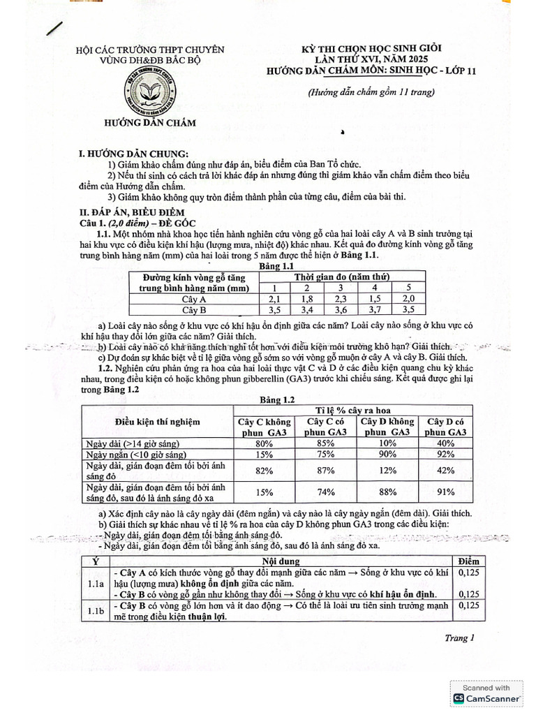 Đề Thi Chính Thức + HDC | PDF