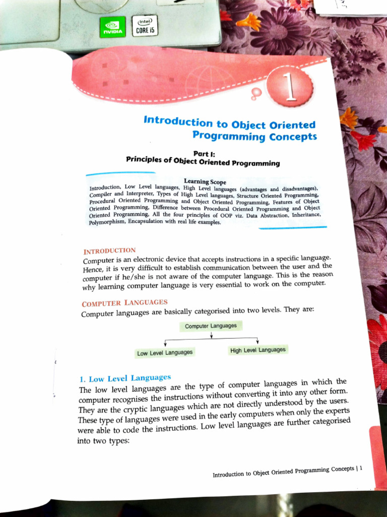 Object Oriented Programming Basics | PDF | Programming | Computer Program