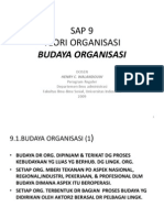 Sap 9 Teori Organisasi (Budaya Organisasi