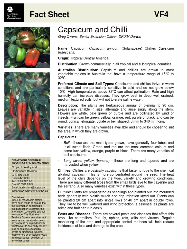 Chilli and Capsicum Cultivation Guide | PDF | Capsicum | Chili Pepper